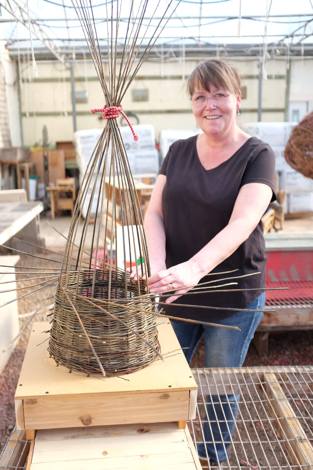 A weaver in a greenhouse steadying a tall willow basket, its uprights gathered and tied at the top with red twine.