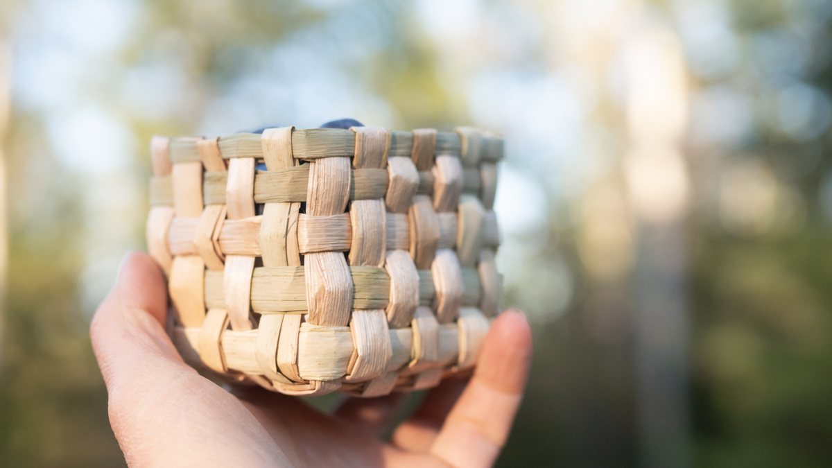 A hand holding a small woven cattail berry basket up against soft green woodland light.