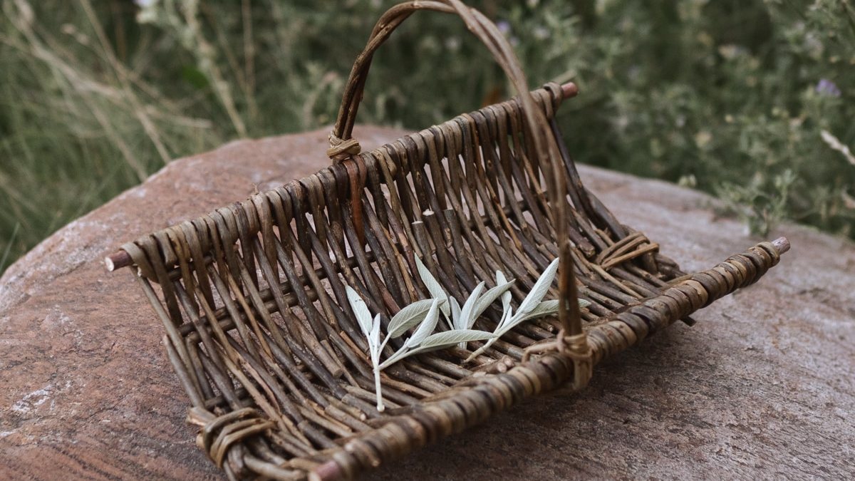 A small willow trug with a curved handle resting on a rock, sprigs of leaves inside.