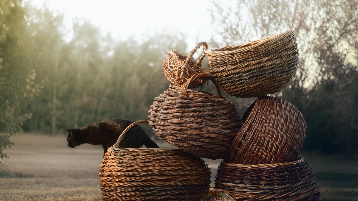 A stack of round willow baskets on the grass in a misty garden at dawn.