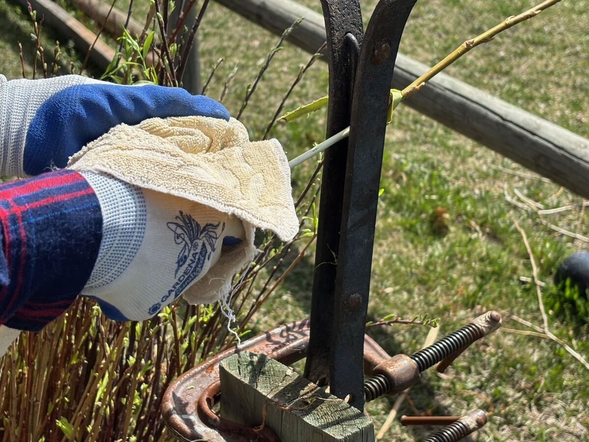 Gloved hands working a willow rod through the tool mounted on a fence rail.
