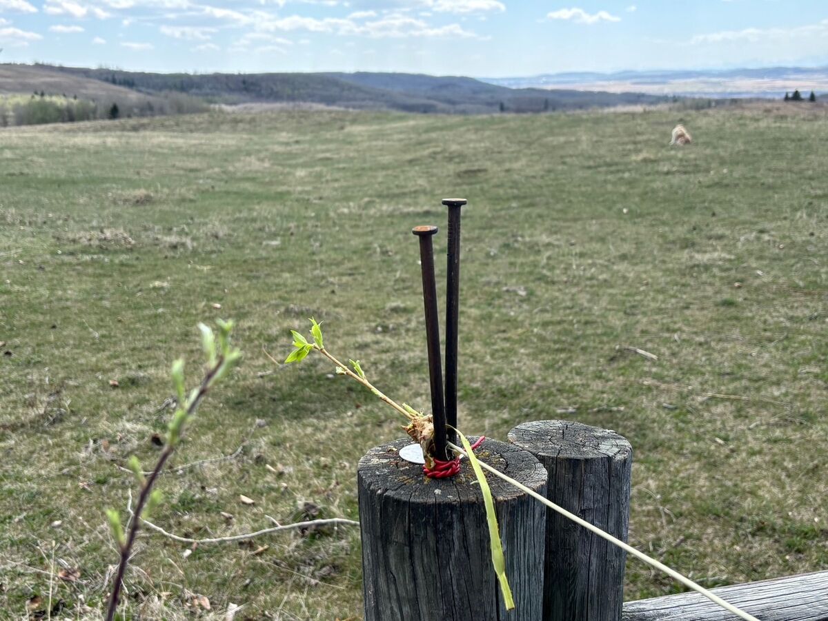 The two-nail tool on its post with open prairie stretching out behind.