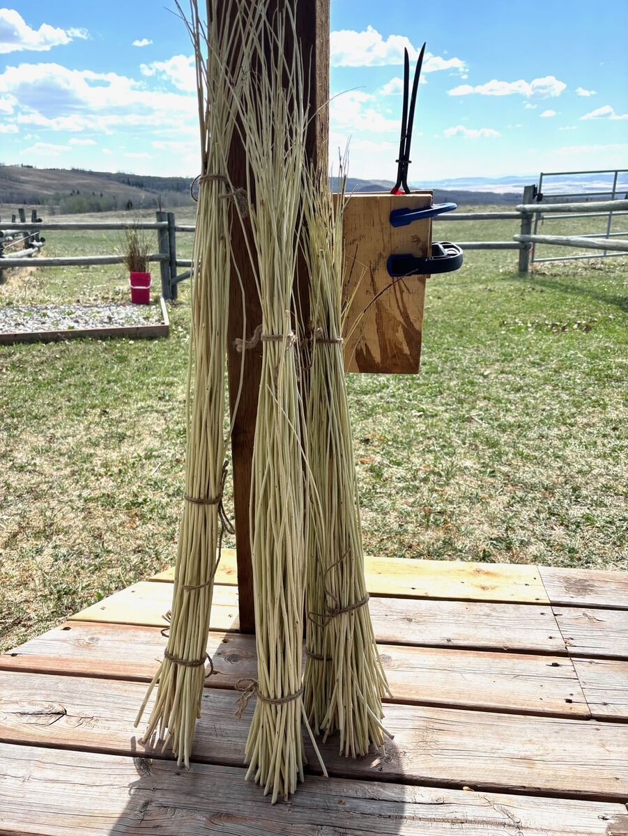 A bundle of stripped white willow rods standing upright against a post, with the tool beside them.